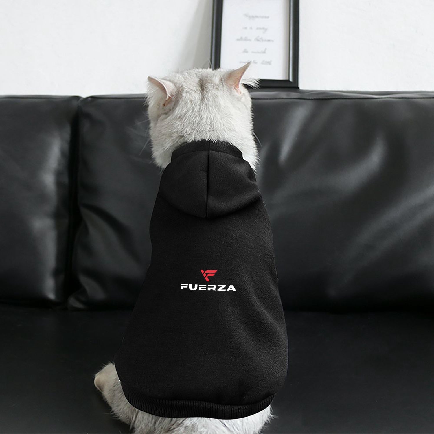 818. Pet Hooded Suit - Fuerza Athletics