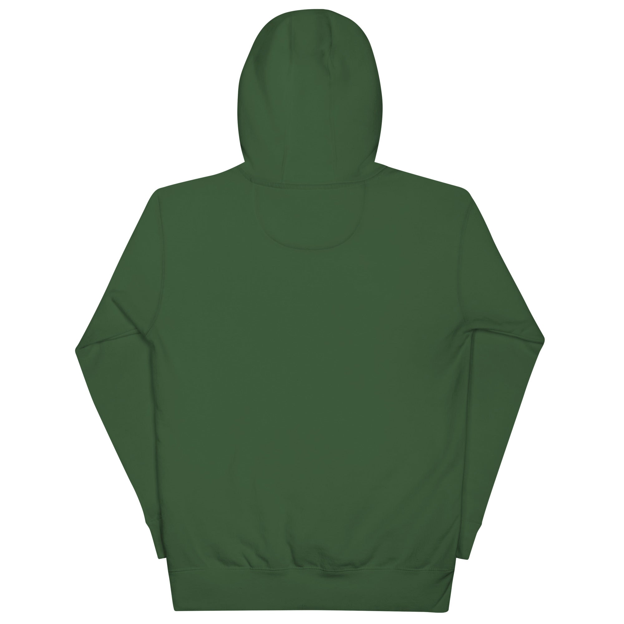 Gulf of Mexico Coastline Hoodie - Fuerza Athletics